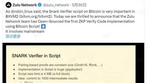 比特币生态里程碑：Zulu 利用Bitcoin Script 实现 ZKP 验证缩略图