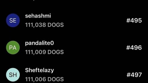 两天订阅人数破250万：DOGS 空投却可能不值一顿猪脚饭缩略图